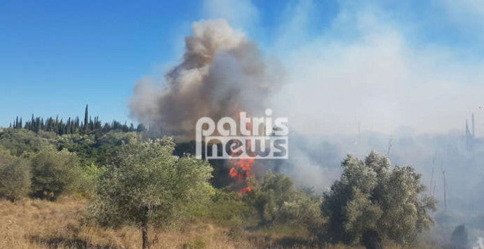 Φωτιά σε εξέλιξη στην Αμαλιάδα (εικόνες)